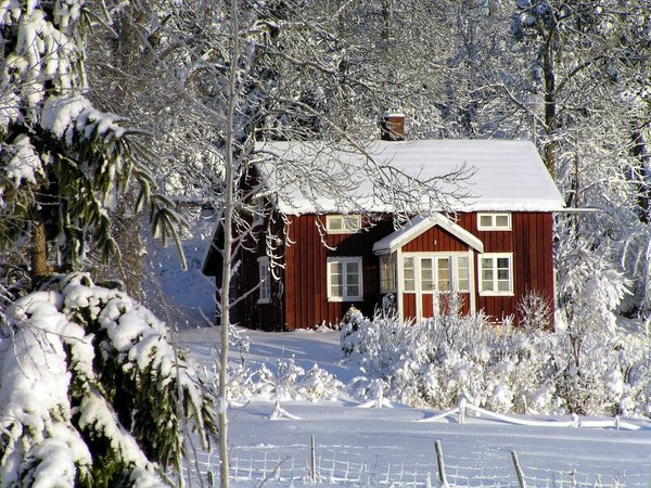 Comment réussir l’entretien du jardin et du potager pour l’hiver ?