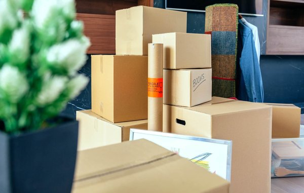 Pourquoi se servir de carton de déménagement ?