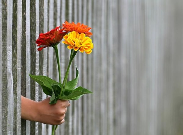Quels cadeaux offrir à son partenaire pour la Saint-Valentin en 2023 ?